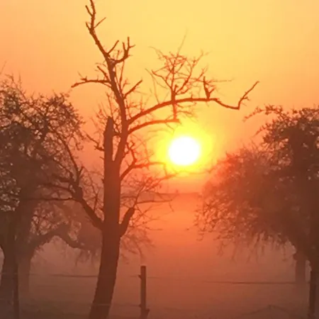 Haus Birgit דירה Gunzgen