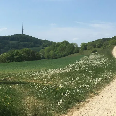 Haus Birgit דירה *