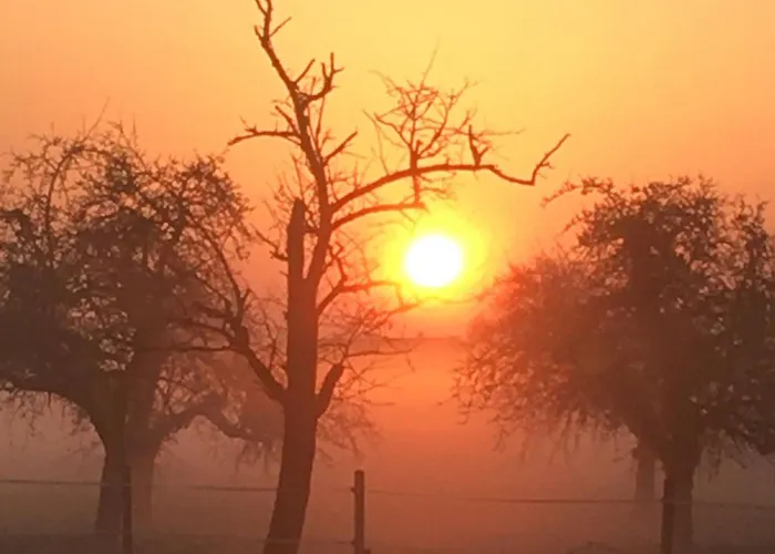 Haus Birgit Apartman Gunzgen