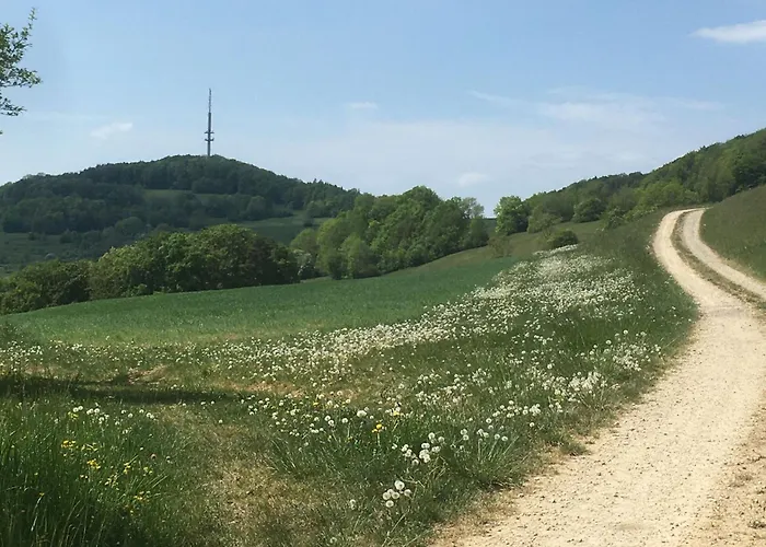 Haus Birgit Apartman *